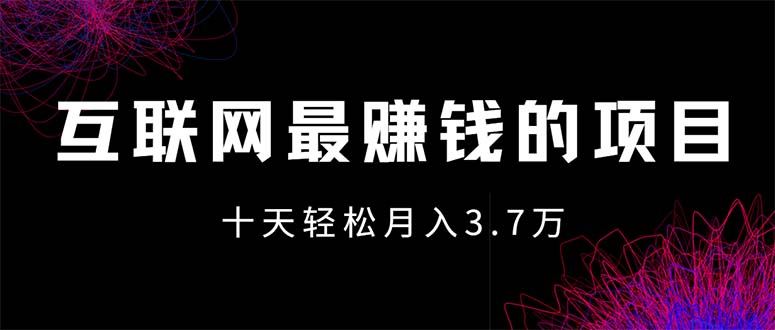 (12396期)互联网最赚钱的项目没有之一,轻松月入7万+,团队最新项目-鲁班聊项目