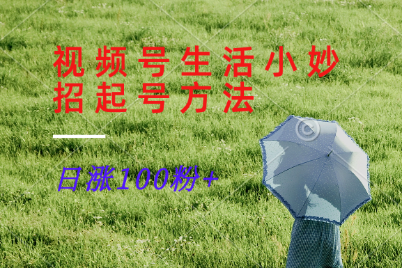 视频号生活小妙招分享赛道， 起号涨粉新方法，日涨100粉-鲁班聊项目