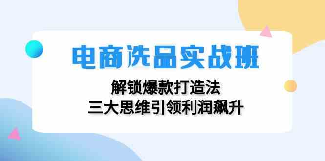 电商选品实战班：解锁爆款打造法，三大思维引领利润飙升-鲁班聊项目