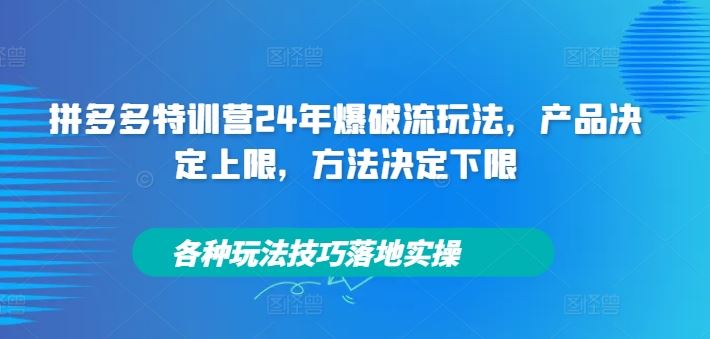 拼多多特训营24年爆破流玩法,产品决定上限,方法决定下限,各种玩法技巧落地实操-鲁班聊项目