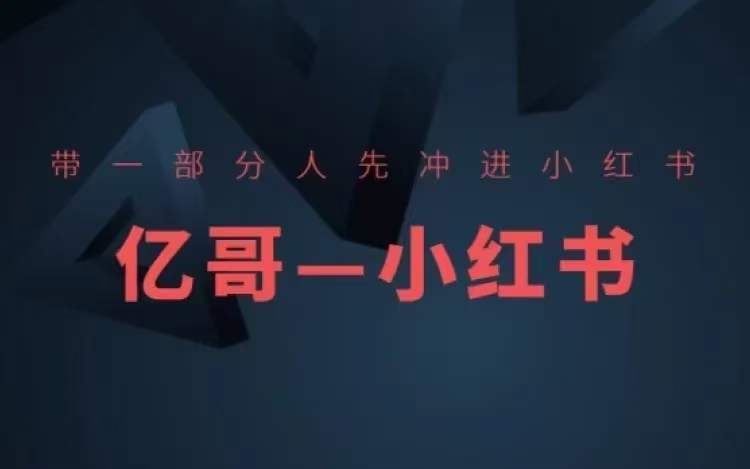 ​​带一部分人先冲进小红书，小红书开店、选品、爆款裂变-鲁班聊项目