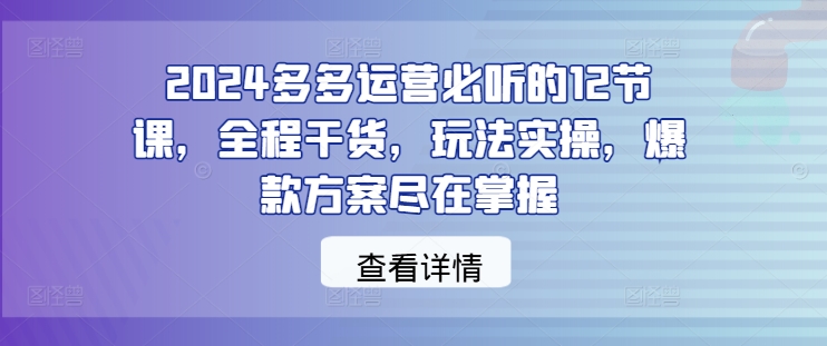 2024多多运营必听的12节课，全程干货，玩法实操，爆款方案尽在掌握-鲁班聊项目