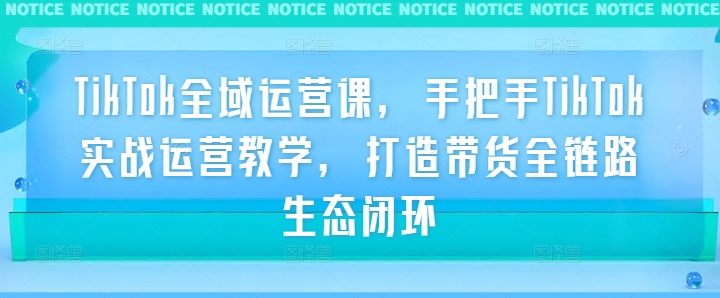 TikTok全域运营课,手把手TikTok实战运营教学,打造带货全链路生态闭环-鲁班聊项目