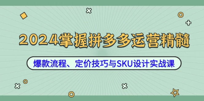 2024掌握拼多多运营精髓:爆款流程、定价技巧与SKU设计实战课-鲁班聊项目