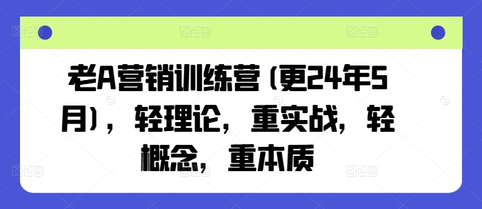老A营销训练营(更24年9月),轻理论,重实战,轻概念,重本质-鲁班聊项目