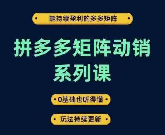 拼多多矩阵动销系列课,能持续盈利的多多矩阵,0基础也听得懂,玩法持续更新-鲁班聊项目
