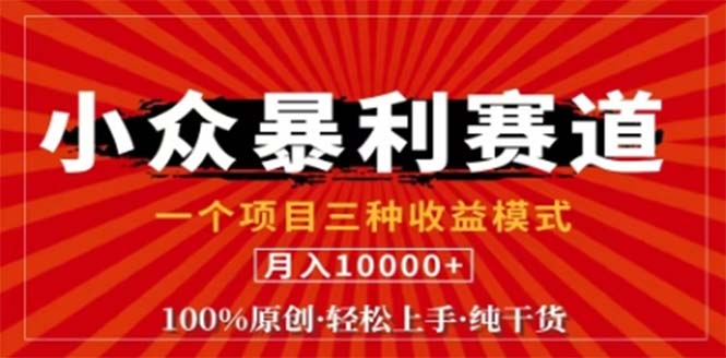 视频号最新爆火赛道，三种可收益模式，0粉新号条条原创条条热门 日入1000+-鲁班聊项目