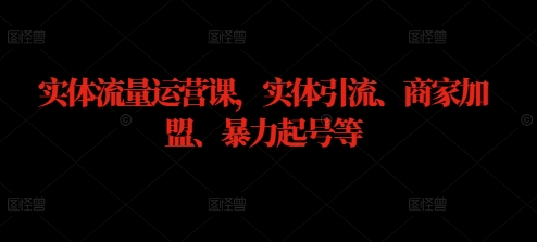 实体流量运营课,实体引流、商家加盟、暴力起号等-鲁班聊项目