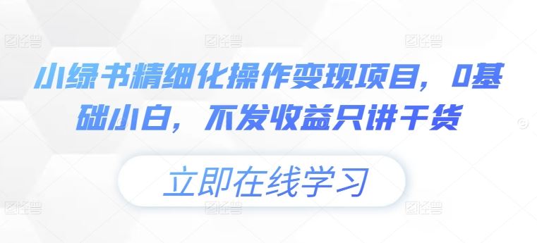 小绿书精细化操作变现项目，0基础小白，不发收益只讲干货-鲁班聊项目