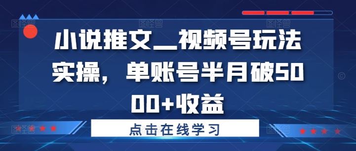 小说推文—视频号玩法实操，单账号半月破5000+收益-鲁班聊项目