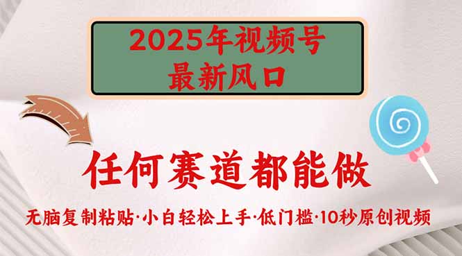 2025年视频号新风口，低门槛只需要无脑执行-鲁班聊项目