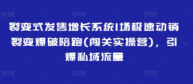 裂变式发售增长系统1场极速动销裂变爆破陪跑(闯关实操营),引爆私域流量-鲁班聊项目