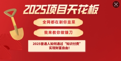2025项目天花板普通人如何通过知识付费，实现财F自由【揭秘】-鲁班聊项目