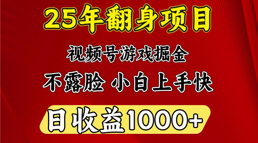 一天收益1000+ 25年开年落地好项目-鲁班聊项目