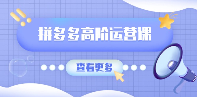 拼多多高阶运营课：极致群爆款玩法，轻付费无尽复制，打造单品爆款之路-鲁班聊项目