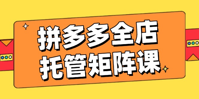 拼多多全店托管矩阵课,盈利动销玩法,高效计划设置,提升店铺效益-鲁班聊项目