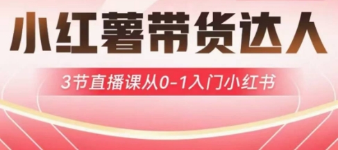 小红薯达人带货启航计划，3节直播课从0-1入门小红书-鲁班聊项目