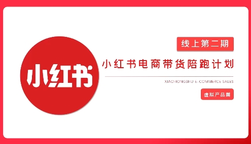 2025小红书虚拟电商实战课,从0到1打造无货源店铺,AI+爆款笔记轻松变现-鲁班聊项目