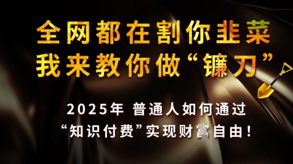 全网都在割你韭菜，我来教你做镰刀，2025普通人如何通过知识付费，实现财F自由【揭秘】-鲁班聊项目