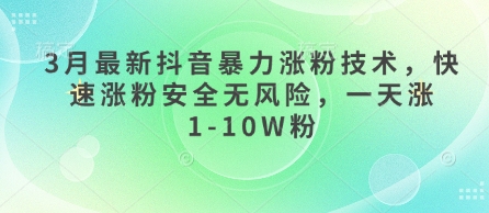3月最新抖音暴力涨粉技术，快速涨粉安全无风险，一天涨1-10W粉-鲁班聊项目