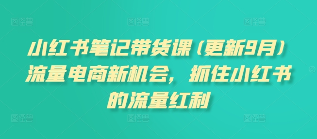 小红书笔记带货课(更新25年3月)流量电商新机会，抓住小红书的流量红利-鲁班聊项目