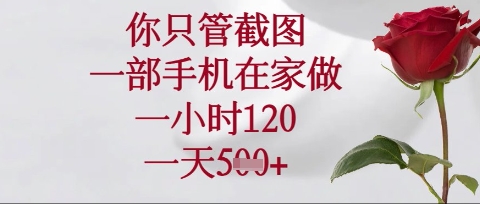 你只管截图，一部手机在家操作，一小时120.一天5张【揭秘】-鲁班聊项目