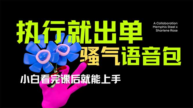 爆火全网的开车导航骚气语音包,只要执行就出单,小白看完课程就能实操…-鲁班聊项目