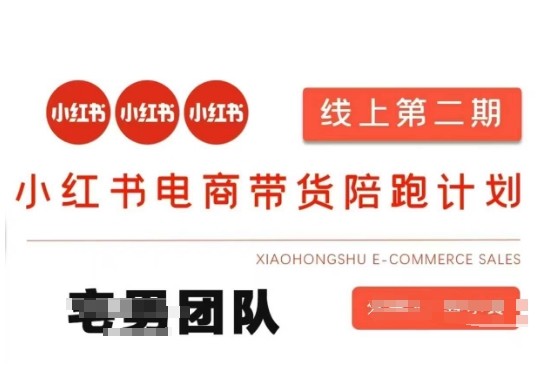 小红书电商带货课2期，月利润20个的小红书电商的有货源，无货源，虚拟产品，付费投流等整套玩法-鲁班聊项目