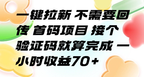 一键拉新 不需要回传 首码项目 接个验证码就算完成 一小时收益70+【揭秘】-鲁班聊项目
