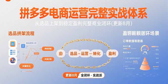拼多多电商运营完整实战体系,从选品上架到稳定盈利完整商业闭环(更新8月-鲁班聊项目