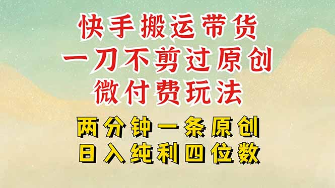 快手黑科技搬运带货,一刀不剪过原创,微付费投流玩法,轻松日入四位数…-鲁班聊项目