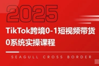 TikTok跨境0-1短视频带货，系统拆解TikTok跨境带货全链路，实现跨境可持续盈利-鲁班聊项目