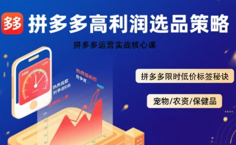 拼多多选品暴利技术实战课,拼多多高利润选品策略,拼多多限时低价标签秘诀-鲁班聊项目
