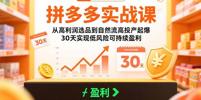 拼多多实战课:从高利润选品到自然流高投产起爆 30天实现低风险可持续盈利-鲁班聊项目