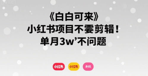 小白可来 小红书项目不需要剪辑 单月3w不是问题-鲁班聊项目
