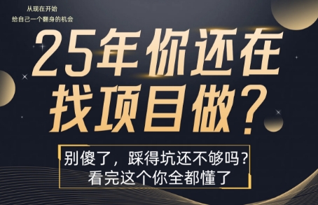 25年，你还在疯狂的找项目吗？别傻了，看完这个你都懂了【揭秘】-鲁班聊项目