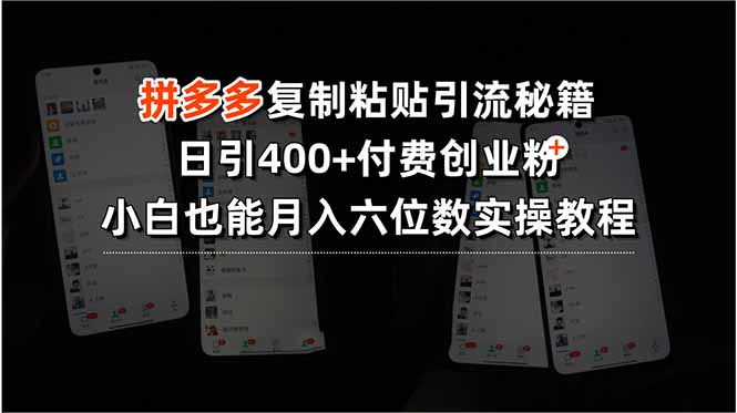 拼多多复制粘贴引流秘籍,日引400+付费创业粉,小白也能月入六位数实操…-鲁班聊项目