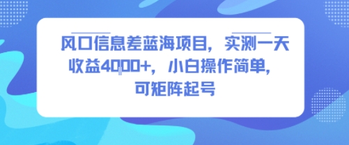 风口信息差蓝海项目，实测一天收益4k+，小白操作简单，可矩阵起号-鲁班聊项目