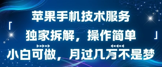 苹果手机技术服务，独家拆解，操作简单，小白可做，月过1W不是梦-鲁班聊项目
