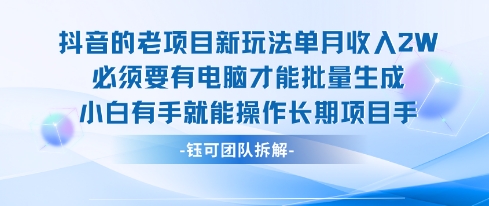 老项目新玩法单月收入2W小白有手就能操作长期项目-鲁班聊项目
