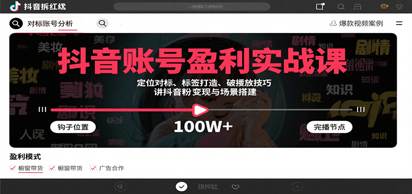 抖音账号盈利实战课,定位对标、标签打造、破播放技巧,讲涨粉变现与场景搭建-鲁班聊项目