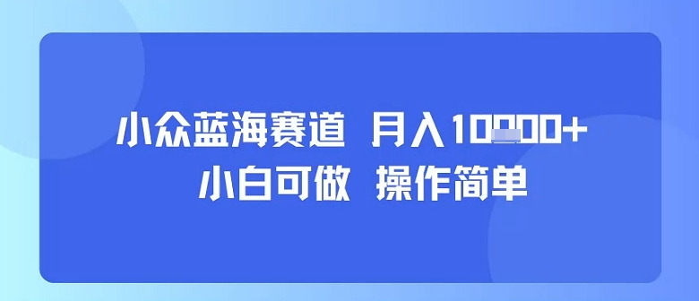 小众蓝海赛道，小白可做，操作简单，每天30分钟，月入1W+-鲁班聊项目