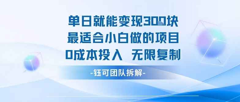 单日就能变现3张最适合小白做的项目0成本投入 无限复制-鲁班聊项目