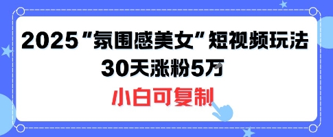 不露脸也能火！2025“氛围感美女”短视频玩法，30天涨粉5W小白可复制-鲁班聊项目