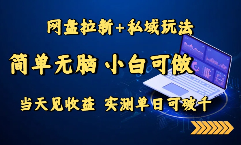 网盘拉新+私域玩法，简单无脑，小白可做，当天见收益，实测单日可破千-鲁班聊项目