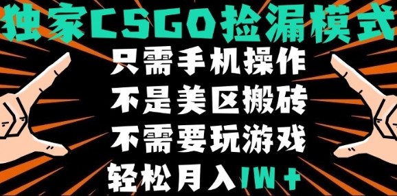 CSGO自动捡漏项目，最新独家玩法，不是美区搬砖，不需要了解和玩游戏，新手小白轻松月入1W+【揭秘】-鲁班聊项目