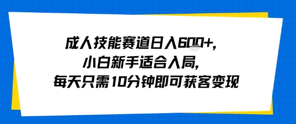 成人技能赛道日入多张，小白新手适合入局，每天只需10分钟即可获客变现-鲁班聊项目