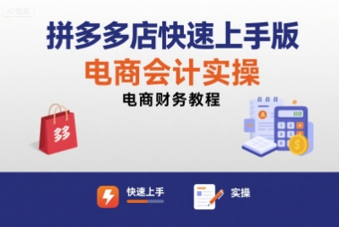 拼多多店快速上手版电商会计实操-电商财务教程-鲁班聊项目