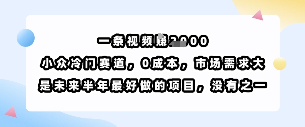 一条视频挣1k，小众冷门赛道，0成本，市场需求大，是未来半年最好做的项目，没有之一-鲁班聊项目