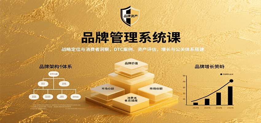品牌管理系统课:战略定位与消费者洞察,DTC案例、资产评估,增长与公关体系搭建-鲁班聊项目
